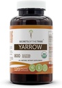Segreti della Tribe Yarrow USDA Organic | Realizzati con capsule vegetariane e Yarrow Organico Certificato (Achillea millefolium) Fascia secca e Fiore (120 capsule)