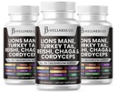 Lions Mane Supplemento Supporto cognitivo, Salute immunitaria con Turchia Tail 20in1 Mushroom Reishi Cordyceps Chaga con Marshmallow Root -180 Conte