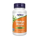 NOW Integratori alimentari, Ginkgo Biloba 60 mg, 24% Estratto standardizzato, Progetto non OGM verificato, 120 capsule di Veg