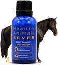 HA4E - Supporto Colico Cavalli - Riduce problemi di dolore addominale e di stomaco - Integratore omeopatico altamente efficace e naturale - 300 Tavole