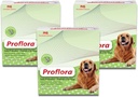 Probiotico per cani - Digestione sana - Boost Immune System - Normale Funzione Bowel - Salute della pelle e del cappotto - Supplemento per GI Tract - 90 Serve, 3-Pack