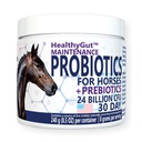 Probiotici HealthyGutTM per i cavalli Integratore alimentare, Formula di manutenzione del sistema digestivo integrale (30 giorni)
