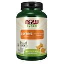 NOW Pet Health, L-Lysine Supplement, Polvere, formulato per gatti, NASC Certified, 8-Ounce