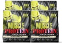 COLOSSAL LABS Muscle Whey Protein polvere di proteine aromatizzata, 25.000 mg di aminoacidi/Serving, filtrata a freddo (Packaging May Vary) (20 Pound (Pack of 4), Vanilla)