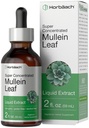 Horbäach Mullein Leaf Extract Drops | 2 fl oz | Alcohol Free Liquid Tincture | Vegetariano, Non OGM & Gluten Free Herbal Supplement