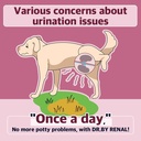 Dr.by Renal Kidney Bladder Urethra Integratore nutrizionale per cani e cucciolo - Sweet Potato Flavored Dog Supplement per Cane UTI, 30 Conte singolarmente confezionato (Pack of 1)