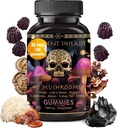ad hoc Shilajit Pure Himalayan Organic Gummies - Supporto immunitario, Integratori di supporto energetico - Shilajit Resin Lions Mane, Cordyceps, Reishi, Turkey Tail, Chaga,Shiitake Mushroom Gummies (120 Ct)