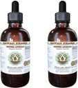 Estratto di liquido senza alcool Angelica cinese, Angelica organica (Angelica Sinensis) Dried Root Glycerite Hawaii Pharm Natural Herbal Supplement 2x2 oz