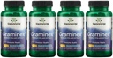 Estratto di polline di fiore di Graminex di resistenza massima di Swanson - Supporta la salute della prostata, la funzione del tratto urinario e la salute del rene - Supplemento di salute degli uomini - (60 capsule, 500 mg ogni) (4 pacchetto)