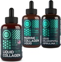 WILD FUEL Collage liquido, Collage marino e clorofilla liquida Bellezza e benessere Bundle