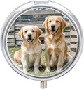 Tondo Pill Case 3 scomparti Golden Retriever Dogs Puppies Animali Pill Box Mini Medicina Pill Organizer Portatile Travel Pillbox per Pocket Purse Metal Pill Container per Vitamine Fish Oil Supplements