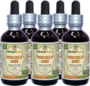 Prickly Ash (Zanthoxylum Clava-herculis) Tintura, Estratto di liquido di corteccia secca (Nome: HerbalTerra, Proudly Made in USA) 5x2 fl.oz (5x60 ml)