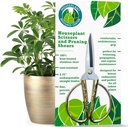 Forbici da melanzane Premium | 100% acciaio inossidabile, Clipper da giardino ultra-preciso per la propagazione e la rifilatura | ruggine-resistente, facile pulizia delle cesoie di potatura | Indoor & Outdoor | Confortevole & Ambidextrous