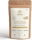 Polvere dell'estratto del mushroom del mushroom dei leoni di attivi del ROOTED USDA Organic, 38% della beta verificata Glucans| Cognizione, Clarity, Focus & Mood, supporto della salute del cervello (4.23 oncia)