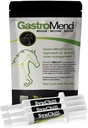 SynChill 3 Pack + GastroMend Bundle for Horses - Supporto completo di Stomach Health & Behavioral, Aids in Gastric Ulcer Relief, Promuove la calma & Focus, Tutto naturale, Costo Efficace