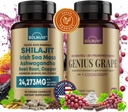 Bundle di benessere cognitivo - Complesso di resveratrolo e minerali di acido Fulvico Shilajit - Moss marino, Ashwagandha, Estratto di uva rosso cognigrape clinicamente testato - Non OGM, Senza glutine, Integratore vegano