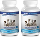 incontinenza della vescica del cane masticabili - DOG URINARY TRACT SUPPORT - NATURAL CRANBERRY SOLUTION - BLADDER HEALTH - VET RECOMMENDED - estratto di mirtillo del cane - 2 Bottiglia (180 Treats)