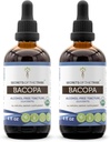 Segreti della Tribù Bacopa USDA Organico | Estratto senza alcool, Gocce di erbe ad alta potenza | Realizzato in Bacopa organico certificato al 100% (Bacopa Monnieri)