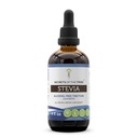 Segreti della Tribù Stevia Alcohol-Free Tincture (Glycerite) 653 mg Realizzati con Stevia (Stevia Rebaudiana) Foglia secca (4 Fl Oz)