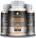 EPICATECHIN - 500MGs Per Serving - 60 Serve e 1000MGS Per Serving - 30 Serve - Max Strength - Maggio Ridurre Myostatin - Maggio Aumento muscolare magra e forza - Aiuta nella sintesi proteica