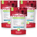 Proflora Probiotic Soft Chews for Dogs - Veterinary-Strength Daily Probiotic - Salute Digestione - Boost Immune System - Skin and Coat Health - 180 Soft Chews