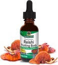 Corpo di fruttificazione, 1-Fluid Ounce Liquid Extract Immune System Builder