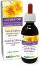 Naturalma Eschschscholzia (Eschscholzia californica) erba Alcol-Free Tincture - 4 fl oz Liquid Extract in Drops - Herbal Supplement - Vegan