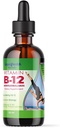 LIQUIDHEALTH Vitamina B12 Methylcobalamin Liquid Drops with Sublingual Hydroxocobalamin - Boost Energy, Support Immune System, Migliorare la memoria e la concentrazione - Made in the USA, Vegan, Non-GMO (2 oz)