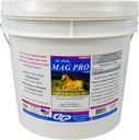 SU-PER Mag Pro Cavallo Calmante Supplemento - Supporto Comportamento Normale & Effetto Calmante - Magnesio Supplemento per Cavalli - 16 Pound, 8 Mesi di Alimentazione