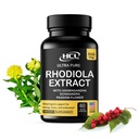 Rhodiola Rosea Supplemento Estratto di alta potenza 500mg - 3% Rosavins 1% Salidrosides con Ashwagandha Shisandra Passion Flower Herb Powder Capsules - modo naturale per alleviare lo stress - pillole per l'energia