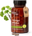 Estratto di Ginkgo Biloba di Terapia vegetale Fabbricato negli Stati Uniti 4 mesi Supporti di alimentazione Memoria Funzione cognitiva, Circolazione sana e Antiossidante-Rich Integratori per le donne e gli uomini 120 capsula vegetariana