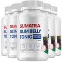 (5 Pack) Sumatra Slim Belly Tonic - Slim Belly Supplemento dietetico, Sumatra Slim Belly All-Natural Pills, Sumatra SlimBelly Recensioni (300 capsule)