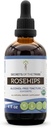 Segreti della Tribù Rosehips USDA Organic | Estratto senza alcool, Gocce di erbe ad alta potenza | Realizzati con Rosehips organici certificati al 100% (Rosa spp.) Dried Fruit 4 oz