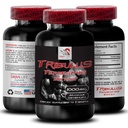 Stamina Support Formula - TRIBULUS TERRESTRIS EXTRACT - Power Recharge, Power Support Blend, Physical Boost, Plant-Powered Energy, Body Support Formula, Forza e Potenza, Active Strength 1Bot 90Tab