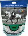 Funky Unicorn Gastic Chews - MINT aroma