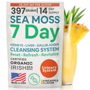 Atlantic Naturals Sea Moss 7 giorno Detox Liver, Gallbladder & Kidney Cleanse - Supporto con Radice di Dandelion, Cardo di latte, Radice di Burdock, Clover rosso, Chanca Piedra - Ananas Flavor Drink Mix (14 oz)