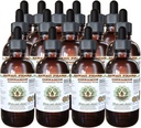Estratto di liquido senza alcool di cannella, cannella (Cinnamomum Verum) a base di corteccia a base di glicerite hawai Pharm Natural Herbal Supplement 15x4 oz
