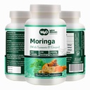 Tavoli Moringa con Turmerico e Ginger, 300 Pillole, 5 Mesi di Alimentazione, 150 Serve, 1000 Mg per Serve. Una capsula con benefici multipli - Supporta la salute digestiva (Pack of 1)