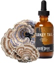 North Spore Organic Turkey Tail Tincture | Mushroom Supplemento per il benessere immunitario | Sostenibilmente coltivato e confermato per la potenza | Trametes Versicolor Extract | Vegan, Non-GMO - 2oz