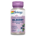 SOLARAY Bilberry Berry Extract 60 mg | Potente Antiossidante | Sano Visione & Circulation Support | 60 VegCaps