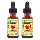 CHILDLIFE ESSENTIALS Echinacea per bambini - Gocce di Echinacea per bambini, Tintura liquida, Supplemento gratuito per bambini, bambini - Arancione naturale, 1 Fl Oz (Pack of 2)