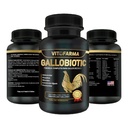 Multivitamina naturale Gallobiotico per Radice, Mensole - 100 compresse | Vitamina Completas para Gallos
