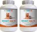 Supporto per la vescica del cane - Formula per la salute urinaria del cane - Aiuta con problemi di incontinenza e della vescica - Boost immunitario - Supplemento al mirtillo del cane - 2 bottiglie (180 Treats)