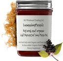 Dr. Sebi Ispirato alcalino Organico fresco di sambuco Ginger Sea Moss Gel - Vitamine Naturali Essential, Minerali Plus Antiossidanti Wild Harvested da Santa Lucia (8 oz.)