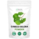 Ginkgo Biloba Polvere 8 oz - Pure Natural Supplement, Supporto per il cervello, Allerta mentale, Filler Free