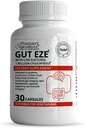 Rawleigh Gut Eze: 30 capsule, Probiotico vegetariano ogni giorno per uomini e donne,1 miliardi di CFU/Cap, Microbiome-Based, SCFA Produzione + Gut, Digestivo, Immunità, Appetite & Lipid Support, Non OGM