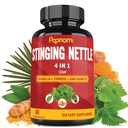 Estratto di ortica con Boswellia, Turmeric & Saw Palmetto - 2 mesi di fornitura per Joint, Body Management, Skin, Hair & Immunity