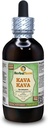 Kava Kava (Piper Methysticum) Glycerite, Estratto di liquido privo di alcool di radice secca (Nome: HerbalTerra, Proudly Made in USA) 4 fl.oz (120 ml)