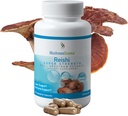 MushroomScience Reishi Mushroom Capsule, Super Strength Full Spectrum Extract, Natural Mushroom Supplement for Adults, Hot Water Extracted Mushrooms, Health Support, Vegetariano, 400MG, 90 CT