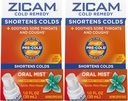 Zicam Cold Remedy Zinc Arctic Mint Oral Mist, 1 oncia (Pack of 2)